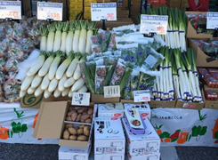 店頭に並ぶ徳島県産農産物の様子