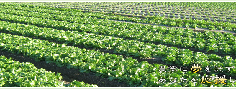 （公財）徳島県農業開発公社んおホームページ画像