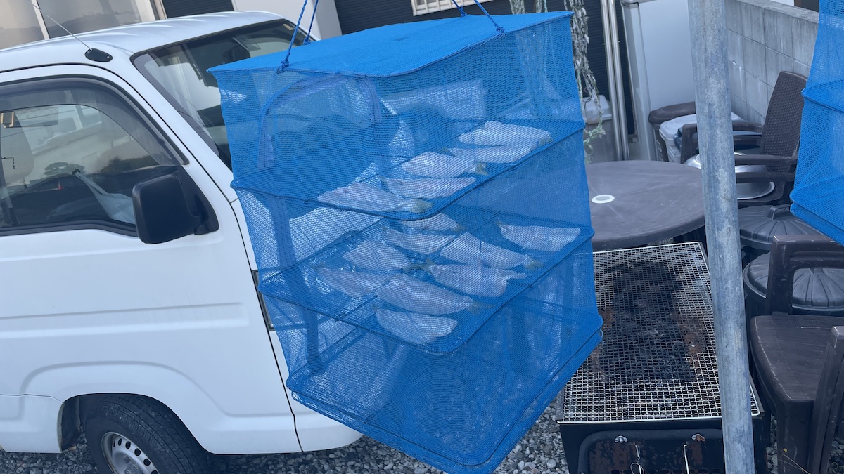 徳島の漁師がお勧めする今秋1番美味しい魚！干し網