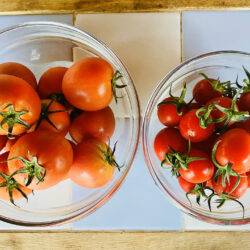 徳島県産の旬トマトを楽しむ！トマトでスイーツを作ろう