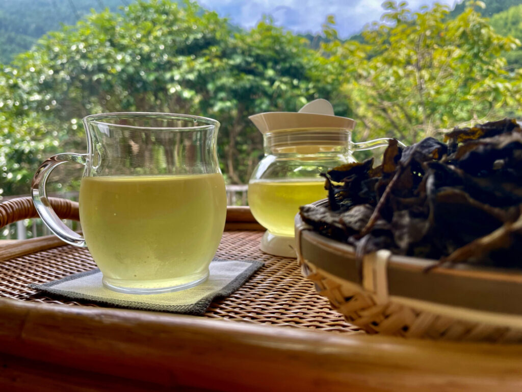 黄金色の阿波晩茶と阿波晩茶の葉っぱ