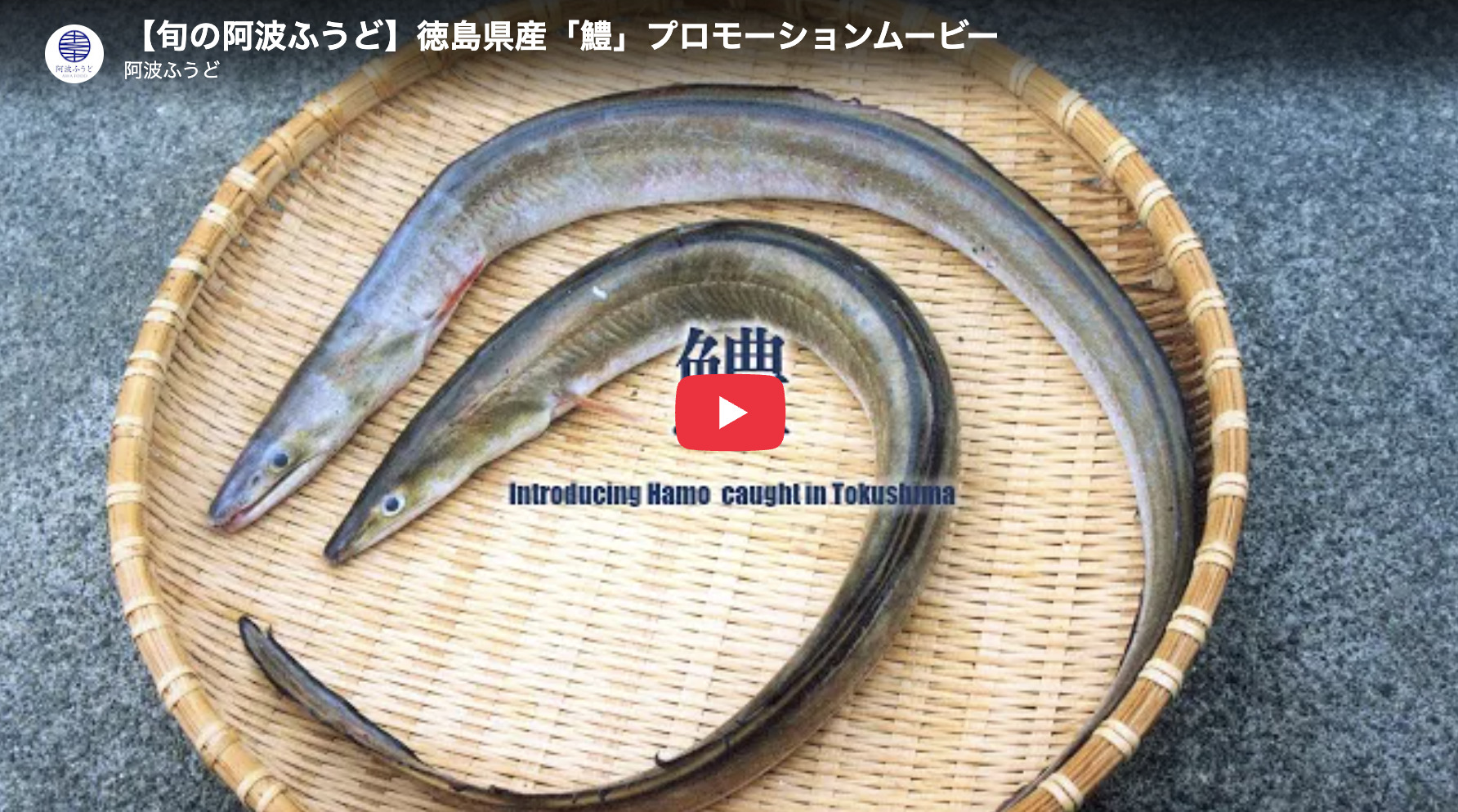 YouTubeで動画を見る