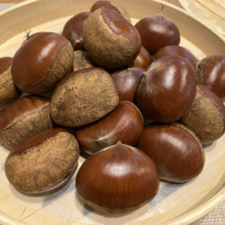 徳島に栗の旬、到来！！