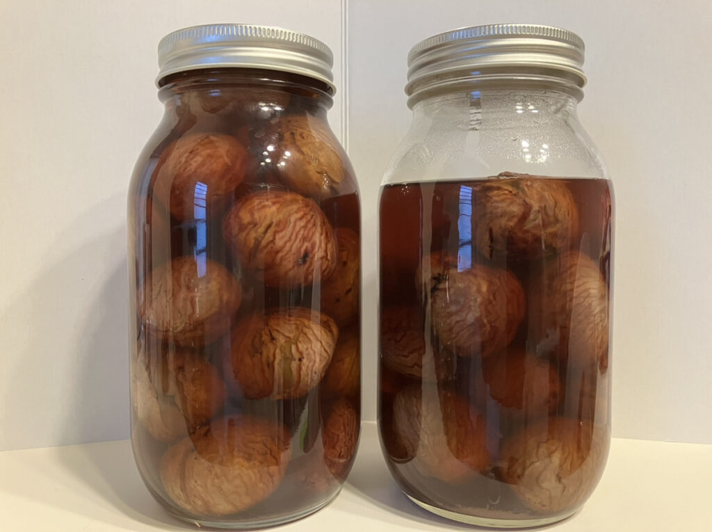 瓶詰された栗の渋皮煮