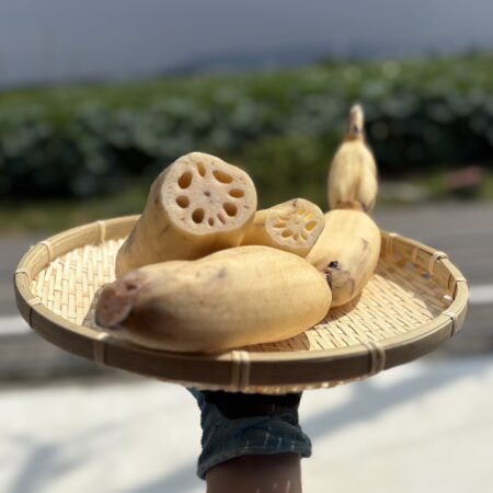 とくしま特選ブランド