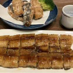 うまみたっぷりの万能魚、知られざるウツボの魅力！