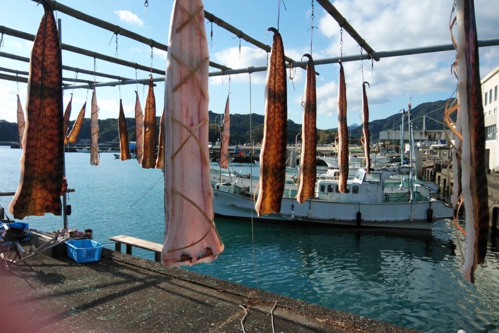 うつぼの天日干し（とくしまフォトギャラリー）