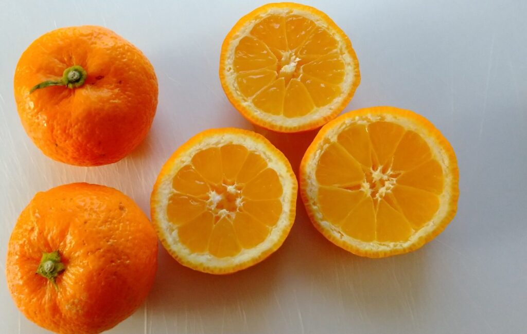 阿波すず香を切った断面