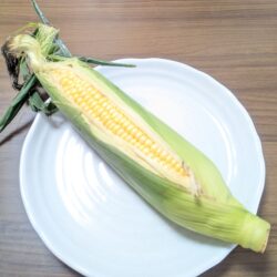 徳島県産スイートコーンを食べ比べ！甘々娘からミルキーシュガーまで、今だけの甘さを楽しむ