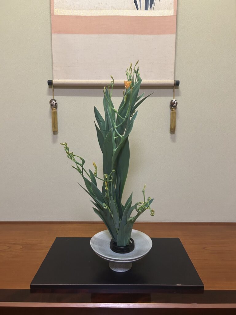 床の間で白い花卉に生けられるヒオウギ