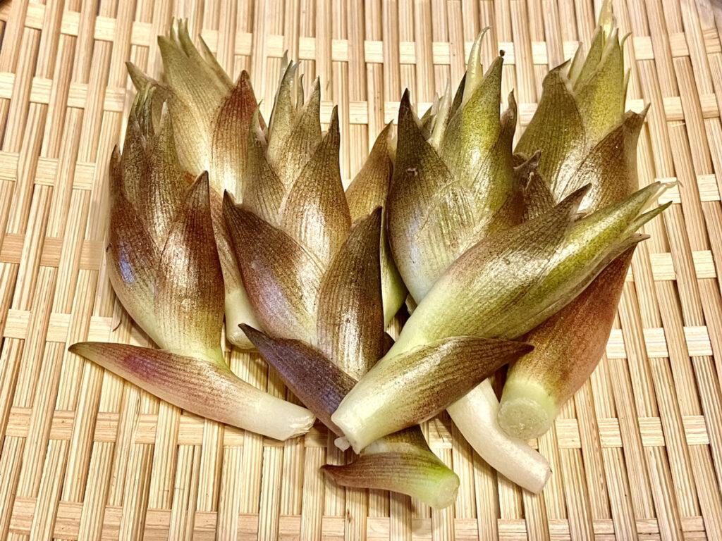 籠に並べられた茗荷