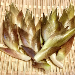 爽やかな夏の香りを楽しむ香味野菜「みょうが（茗荷）」